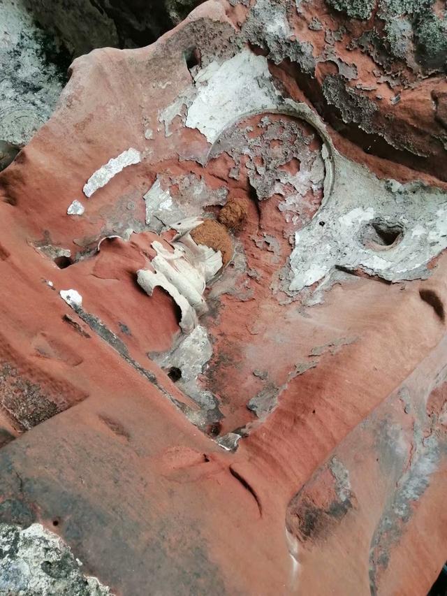 乐山大佛一日游最佳路线(乐山大佛一日游)(8)