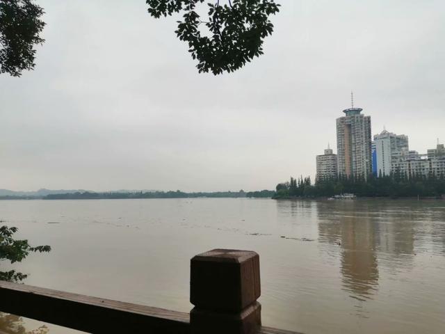 乐山大佛一日游最佳路线(乐山大佛一日游)(4)