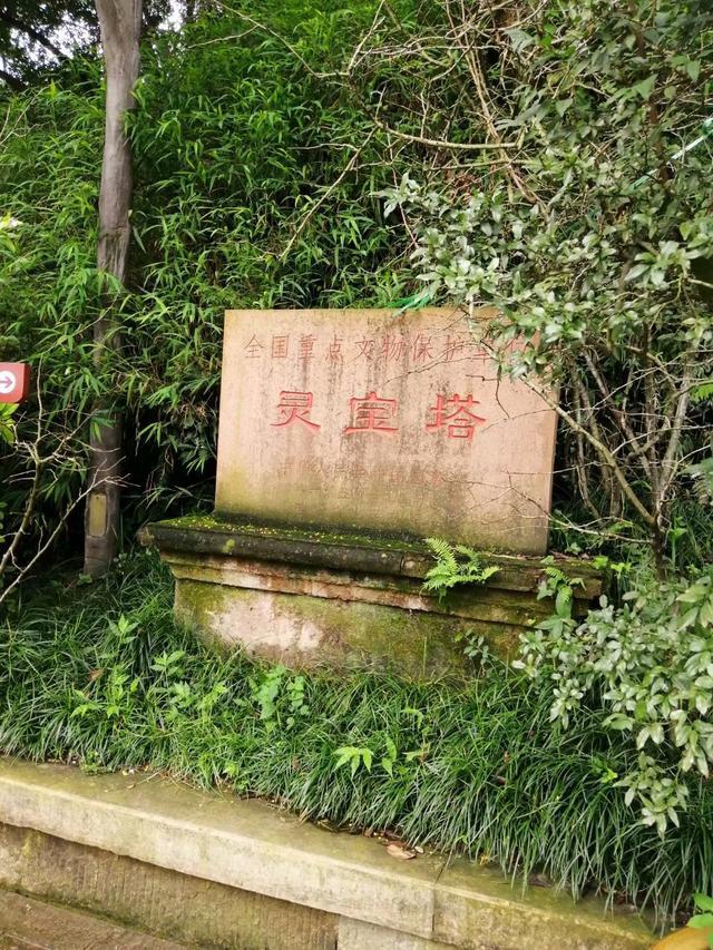 乐山大佛一日游最佳路线(乐山大佛一日游)(16)