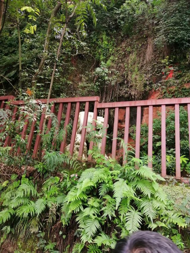 乐山大佛一日游最佳路线(乐山大佛一日游)(20)