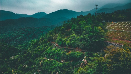 厦门天竺山森林公园
