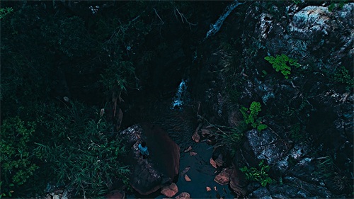 厦门天竺山森林公园