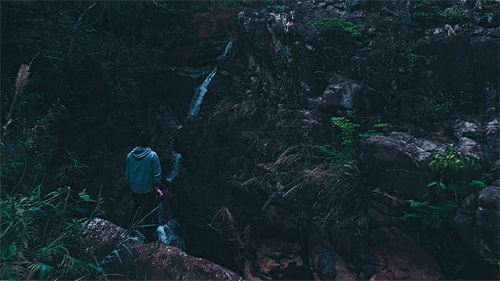 厦门天竺山森林公园