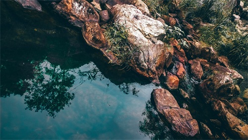 厦门天竺山森林公园