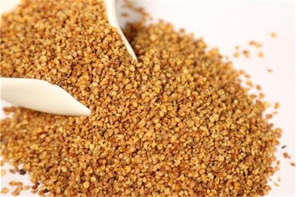 苦荞可以泡酒吗 苦荞泡酒好吗