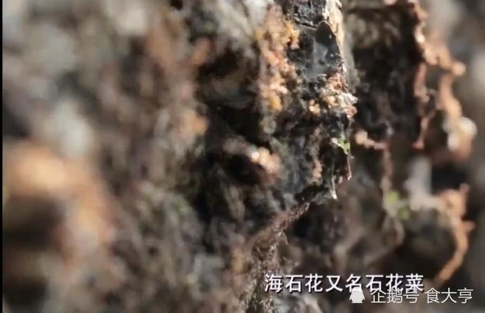 广东南澳岛有一种“海石花”,三块钱一碗,还下很多水果