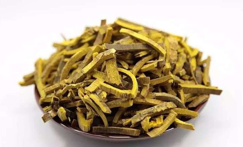 知母黄柏的功效与作用（知母黄柏配伍的功效是什么）