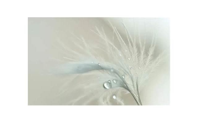 女生送千纸鹤给男生是什么意思