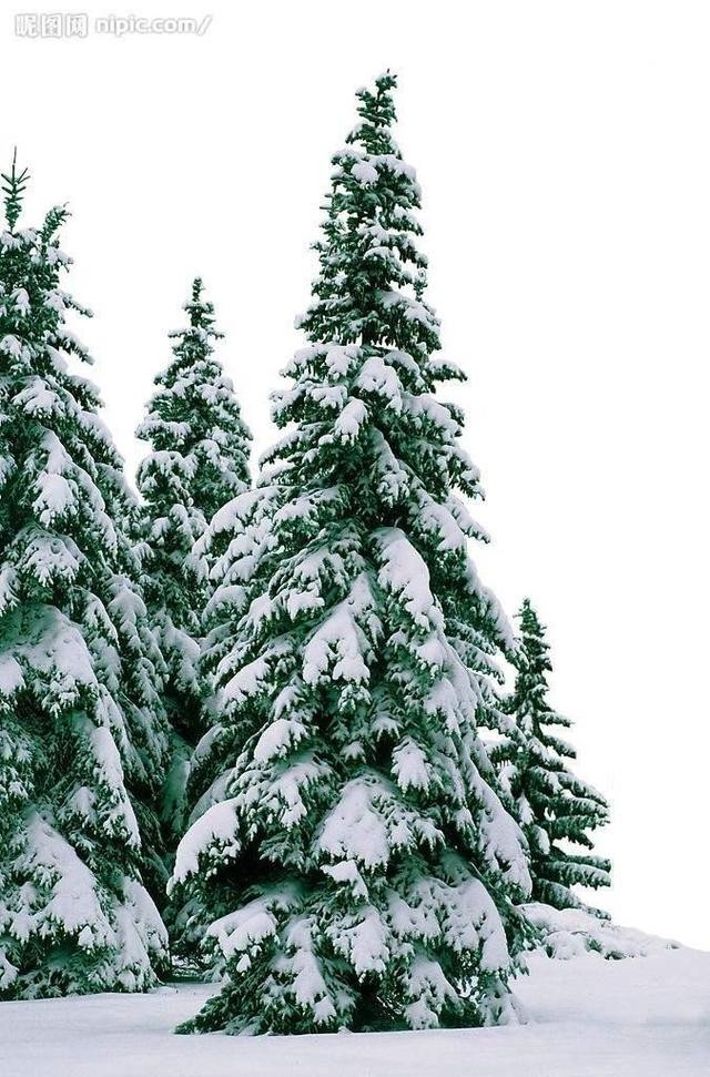 陈毅诗词20首(陈毅元帅最著名的诗句)(1)