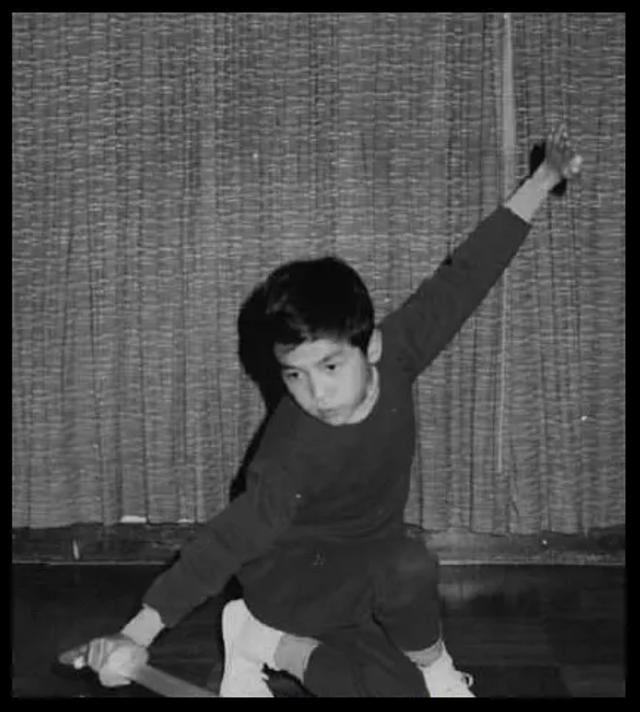 甄子丹曾为她抛妻弃子万绮雯（甄子丹给前妻抚养费）(6)