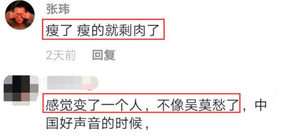 吴莫愁13年收入（从1.3亿广告费到街边商演）(2)