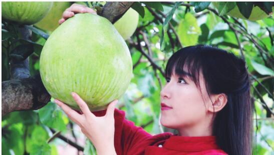 李子柒拍摄地在哪?李子柒拍摄地址已公开!