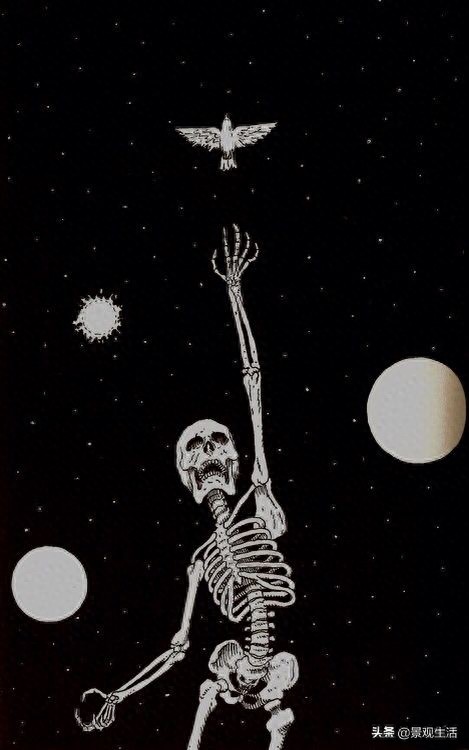 骷髅头手机壁纸一组