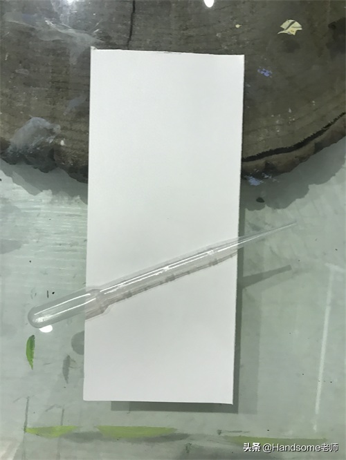 儿童创意美术：肌理画--九千九百九十九岁的老奶奶