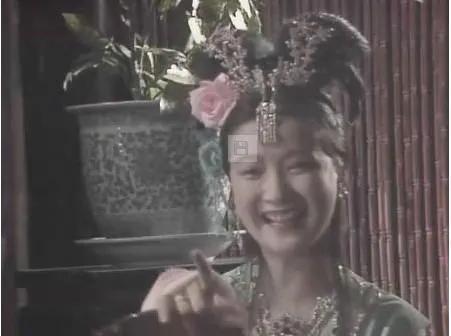 何晴个人资料简介（51岁患癌被二婚老公宠上天）(5)