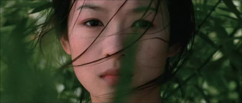 什么是鹅蛋脸_鹅蛋脸变瓜子脸_鹅蛋脸明星