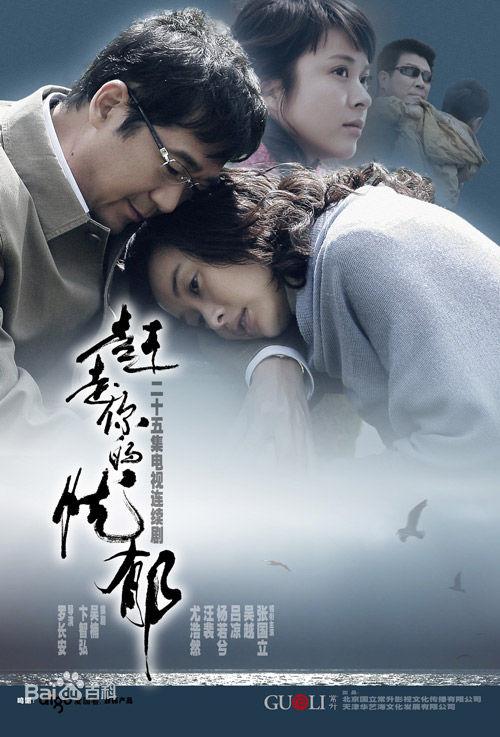 这10部经典电视剧你看过几部（6部冷门题材的电视剧）(2)