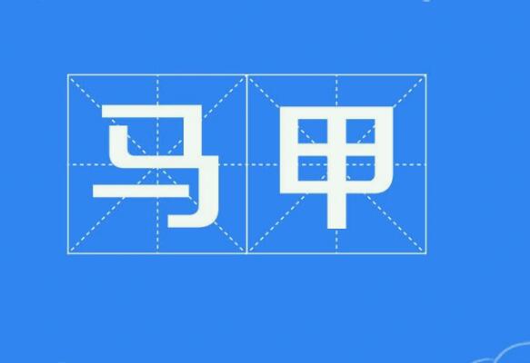 马甲文小说是什么意思