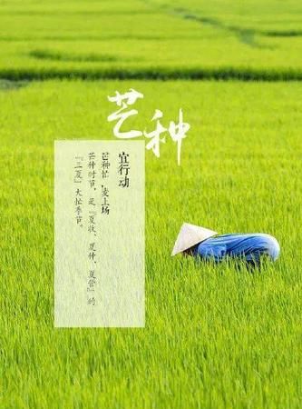 芒种是什么季节