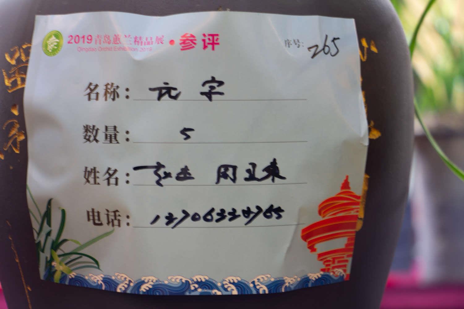 兰花 兰花