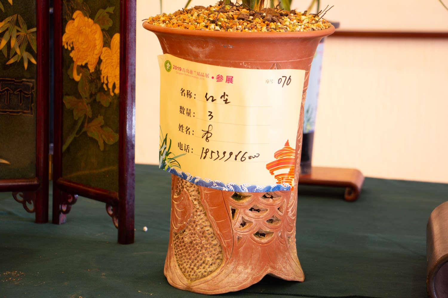 兰花 兰花